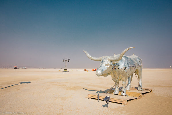 Disco Bull made from thousands of 1” square Mirror Ball mirrors with fiberglass and metal structure.