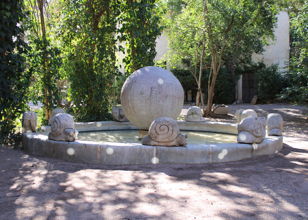 Cantera Stone Snails from Mexico